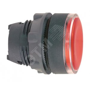 ГОЛОВКА КНОПКИ 22ММ С ЗАДЕРЖКОЙ ZB5AH043 | ZB5AH043 | Schneider Electric