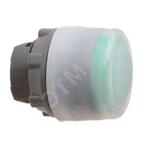 ГОЛОВКА ДЛЯ КНОПКИ ZB5AP38 | ZB5AP38 | Schneider Electric