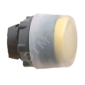 ГОЛОВКА ДЛЯ КНОПКИ ZB5AP5 | ZB5AP5 | Schneider Electric