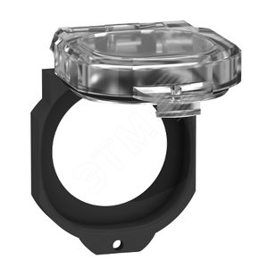 ЗАЩ. ДЛЯ RJ45/USB-РАЗ., ПЛАСТ., IP65/67 | ZBSP2 | Schneider Electric - Schneider Electric