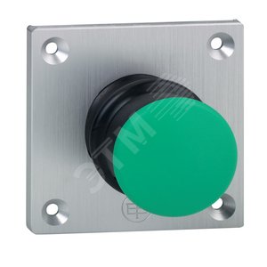 ПЫЛЬНИК ЧЕРНЫЙ ДЛЯ ГРИБКОВ | ZBZ28 | Schneider Electric