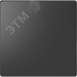 Клавиша одинарная D-Life антрацит SD 2