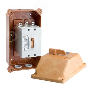 Выключатель автоматический ВА21-29В-342210-1.6А-12Iн-690AC-IP54-У2 2