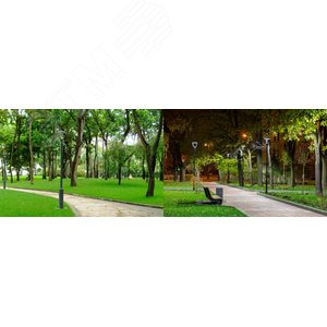 Светильник светодиодный Meduza Park 28/4600 Д прозрачный 4K - фото 12