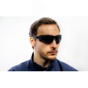 Очки защитные открытые с затемненными линзами EGON - фото 2