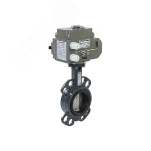 Затвор дисковый поворотный PN16 DN 65 чугун/EPDM/ЭП220В - Ридан