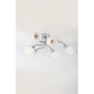 Люстра  Rivoli Justine 3012-306 6 х Е27 40 Вт модерн (Б0050312) - фото 2