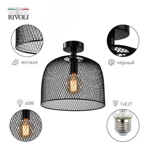 Светильник потолочный Rivoli Armina 5095-201 1 х Е27 40 Вт лофт-кантри для натяжных потолков (Б0053054) - фото 2