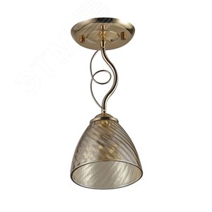 Светильник потолочный Rivoli Leni 9125-201 1 * Е27 60 Вт модерн для натяжных потолков (Б0053415) - фото 2