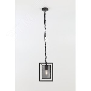 Светильник подвесной (подвес) Rivoli Michaela 5023-211 потолочный 1 х Е27 40 Вт черный лофт - кантри (Б0050332) - фото 2