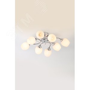 Люстра  Rivoli Justine 3012-308 8 х Е27 40 Вт модерн (Б0050313) - фото 4