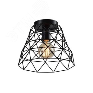 Светильник потолочный Rivoli Molly 5091-201 1 х Е27 40 Вт лофт-кантри для натяжных потолков (Б0053049) - ЭРА (Энергия света)