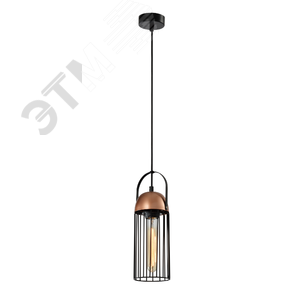 Светильник подвесной (подвес) Rivoli Anemon 5062-201 1 х E27 40 Вт лофт - кантри (Б0047359) - ЭРА (Энергия света)