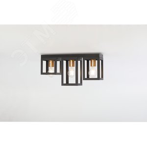 Светильник потолочный Rivoli Aneli 5084-303 3 * Е27 40 Вт лофт - кантри (Б0051237) - фото 3