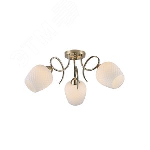 Люстра  Rivoli Ofelia 9084-303 3 * Е27 40 Вт модерн (Б0052683) - ЭРА (Энергия света)