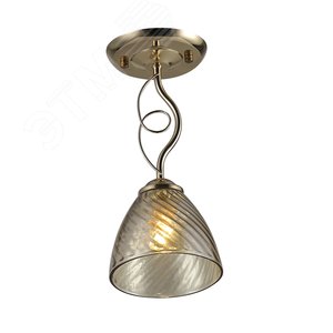 Светильник потолочный Rivoli Leni 9125-201 1 * Е27 60 Вт модерн для натяжных потолков (Б0053415) - ЭРА (Энергия света)