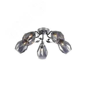 Люстра Rivoli Hillary 9103-305 5 * Е27 60 Вт модерн (Б0053408) - ЭРА (Энергия света)
