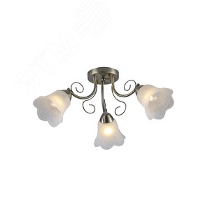 Люстра  Rivoli Rosa 9087-303 3 * Е27 40 Вт модерн (Б0052690) - ЭРА (Энергия света)