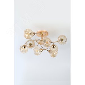 Люстра  Rivoli Dorothea 3093-308 8 * Е27 40 Вт модерн (Б0050826) - фото 3