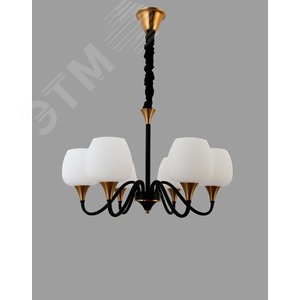 Люстра  Rivoli Emarita 2049-206 6 х Е27 40 Вт классика (Б0047913) - фото 3