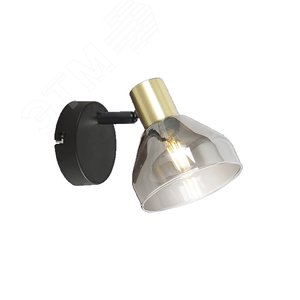 Светильник настенно-потолочный спот Kinge 7036-701 1 х E14 40 Вт поворотный - Rivoli