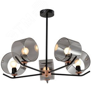 Люстра Rivoli Eurydice 3133-305 5 х Е14 40 Вт модерн (Б0054987) - ЭРА (Энергия света)