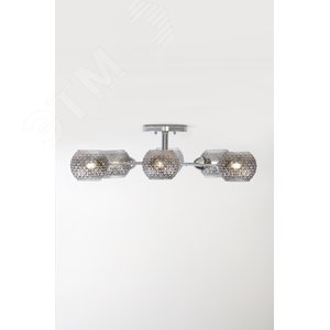 Люстра  Rivoli Astrid 3091-308 8 * Е27 40 Вт модерн (Б0050820) - фото 4