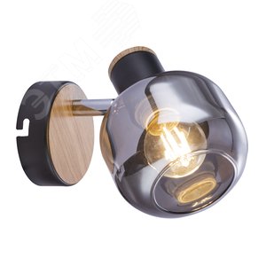 Светильник настенно-потолочный спот Dorkas 7026-701 1 х E14 40 Вт поворотный - Rivoli