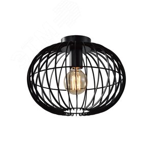 Светильник потолочный Rivoli Livia 5094-201 1 х Е27 40 Вт лофт-кантри для натяжных потолков (Б0053053) - ЭРА (Энергия света)
