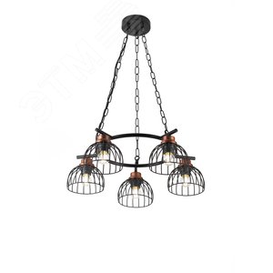 Люстра  Rivoli Agarola 1018-206 5 х Е27 40 Вт лофт - кантри (Б0045285) - ЭРА (Энергия света)