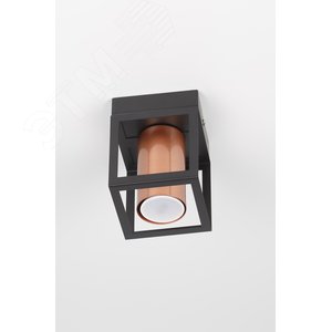 Светильник потолочный Raffaela 5082-201 1 х GU10 25 Вт накладной для натяжных потолков лофт - кантри - фото 7