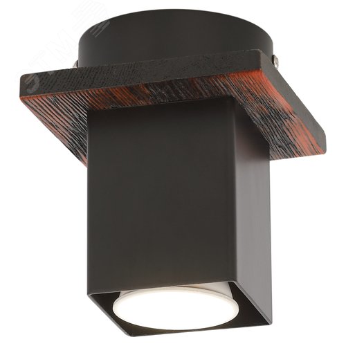 Светильник потолочный Luise 3102-201 1 х GU10 50 Вт модерн - Rivoli