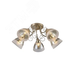 Люстра  Rivoli Estela 9086-305 5 * Е27 40 Вт модерн (Б0052689) - ЭРА (Энергия света)