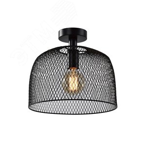 Светильник потолочный Rivoli Armina 5095-201 1 х Е27 40 Вт лофт-кантри для натяжных потолков (Б0053054) - ЭРА (Энергия света)
