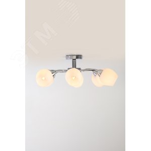 Люстра  Rivoli Justine 3012-308 8 х Е27 40 Вт модерн (Б0050313) - фото 6