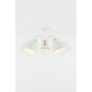 Люстра  Rivoli Lulu 9029-305 5 х E27 60 Вт модерн (Б0049202) - фото 4