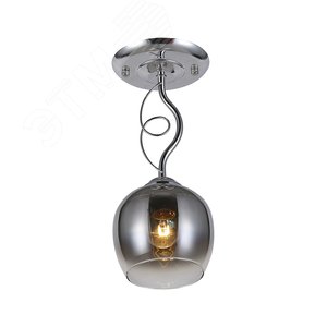 Светильник потолочный Lies 9126-201 1 х Е27 60 Вт модерн для натяжных потолков - Rivoli