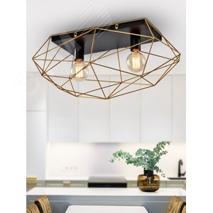 Светильник потолочный Rivoli Roxana 4097-312 2 х Е27 40 Вт дизайн для натяжных потолков (Б0053043) - фото 3