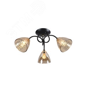 Люстра  Rivoli Emilia 9095-303 3 * Е27 60 Вт модерн (Б0052709) - ЭРА (Энергия света)