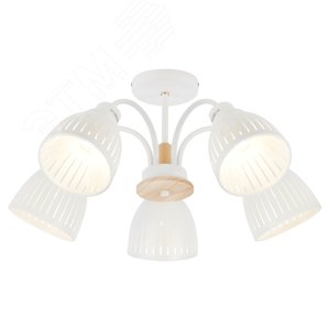 Люстра  Rivoli Lulu 9029-305 5 х E27 60 Вт модерн (Б0049202) - ЭРА (Энергия света)