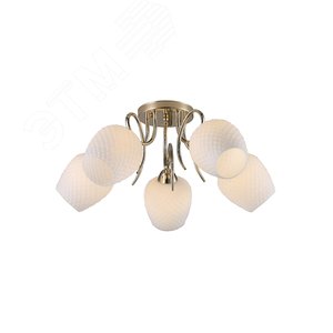 Люстра  Rivoli Ofelia 9084-305 5 * Е27 40 Вт модерн (Б0052684) - ЭРА (Энергия света)