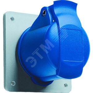 Розетка панельная с прямым унифицированным фланцем 216RU9, 16A, 2P+E, IP44, 9ч | 2CMA193171R1000 | ABB 2