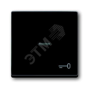 Клавиша для механизма 1-клавишного выкл./перекл./кнопки, с символом "КЛЮЧ", серия solo/future, цвет антрацит | 1751-0-2933  | 2CKA001751A2933 | ABB 2