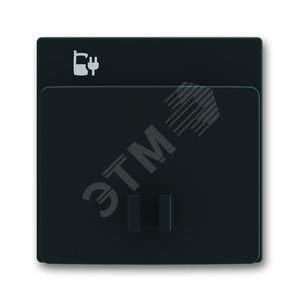 Плата центральная (накладка) 6478-885 для блока питания micro USB - 6474 U, Future, чёрный бархат | 6400-0-0029 | 2CKA006400A0029 | ABB - фото 2
