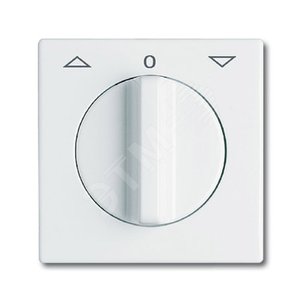 Плата центральная (накладка) с поворотной ручкой, IP44, серия Allwetter 44, цвет слоновая кость | 1710-0-2223  | 2CKA001710A2223 | ABB 2