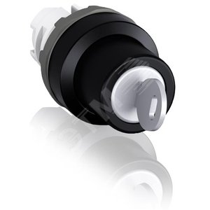 Переключатель M2SSK2-104 с ключом 2 позиции (корпус ) 45# (ключ 25 вариантов) - фото 2