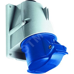 Розетка для монтажа на поверхность 216RS9, 16A, 2P+E, IP44, 9ч | 2CMA193099R1000 | ABB 2