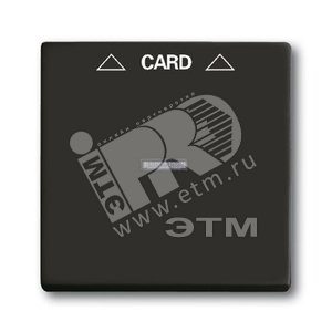 ABB Basic 55 Шато (чёрный) Накладка карточного выключателя(мех. 2025U) | 1710-0-3933  | 2CKA001710A3933 | ABB - ABB