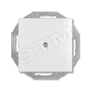 ABB Basic 55 Альп. белый Заглушка с суппортом | 1715-0-0312  | 2CKA001715A0312 | ABB - ABB