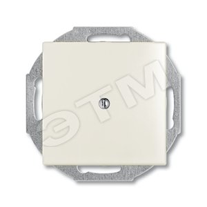 ABB Basic 55 Сл. кость Заглушка с суппортом | 1715-0-0313  | 2CKA001715A0313 | ABB - ABB